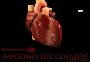 Anatomía del corazón, una guía educativa multimedia
