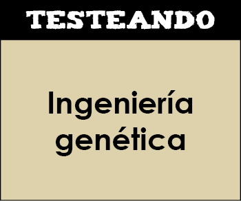 Ingeniería genética. 2º Bachillerato - Biología (Testeando)