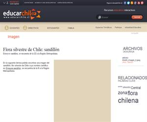 Flora silvestre de Chile: sandillón (Educarchile)
