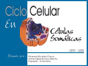 Ciclo celular en células somáticas