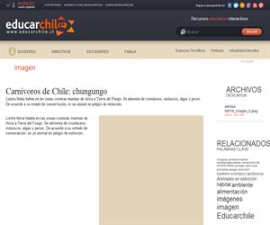 Carnívoros de Chile: chungungo (Educarchile)