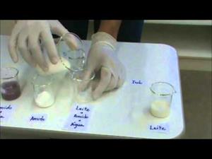 Experimento de Química: ¿leche adulterada con almidón? (Pontociência)