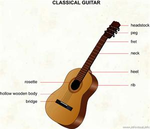 Classical guitar  (Visual Dictionary)