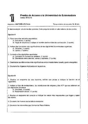 Examen de Selectividad: Anatomía aplicada. Extremadura. Convocatoria Junio 2014
