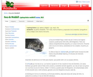 Foca de Weddell (Leptonychotes weddellii)