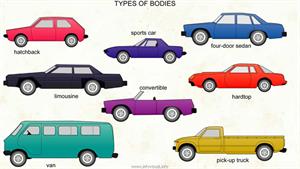 Types of bodies  (Visual Dictionary)