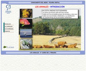 Los animales – Conocimiento del medio – 3º Ciclo de E. Primaria – Unidad didáctica.