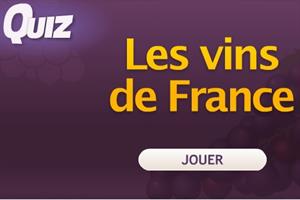 Quiz Les vins de France. Test de los vinos de francia (ludovino.com)