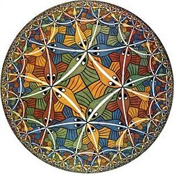 Teselaciones de M.C. Escher, división regular del plano
