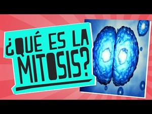 Qué es la mitosis?