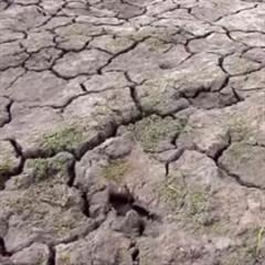 La sequía... la sed y el agua
