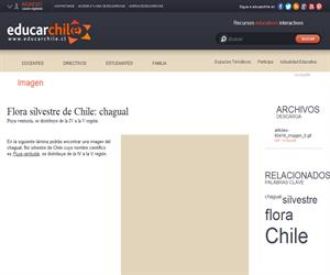 Flora silvestre de Chile: chagual (Educarchile)