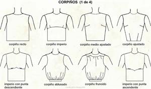 Corpiño (Diccionario visual)