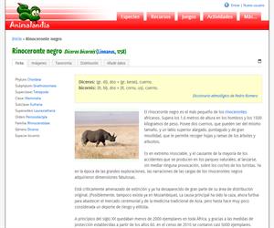 Rinoceronte negro (Diceros bicornis)
