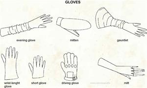 Glove  (Visual Dictionary)