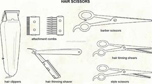 Hair scissors  (Visual Dictionary)