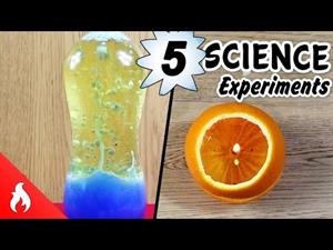 3 Experimentos fáciles para niños (Aula o Casa) introducción ciencias