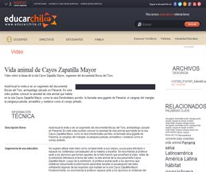 Vida animal de Cayos Zapatilla Mayor (Educarchile)