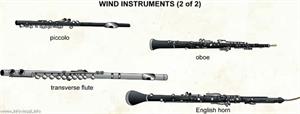 Wind instruments 2  (Visual Dictionary)