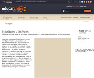 Macrófagos y Linfocitos (Educarchile)