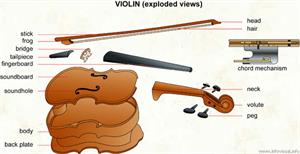 Violin  (Visual Dictionary)