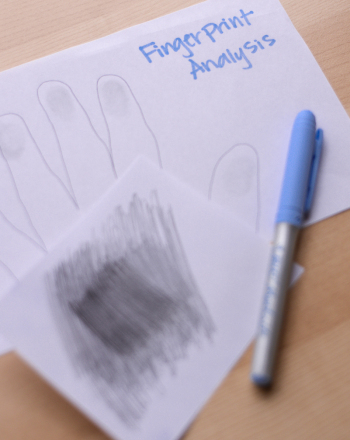 Fingerprint Analysis: A Family Case Study