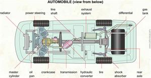 Automobile (view from below)  (Visual Dictionary)