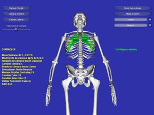 Esqueleto 3D un recurso para las clases de Biología