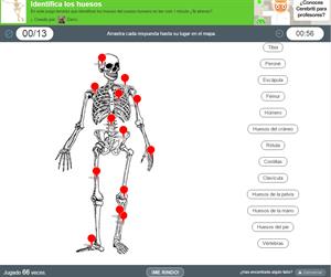 Identifica los huesos del cuerpo humano (Cerebriti)