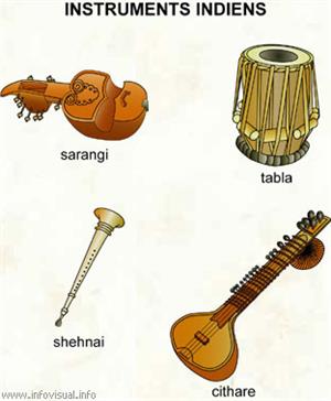Instruments indiens (Dictionnaire Visuel)
