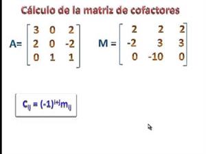 Cálculo de la matriz adjunta