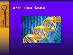Genética básica (Educarchile)