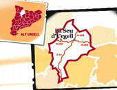 La Seu d'Urgell (l'Alt Urgell) (Edu3.cat)