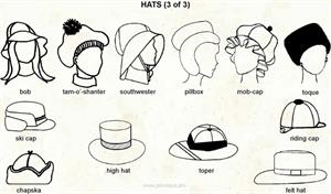 Hats 3  (Visual Dictionary)
