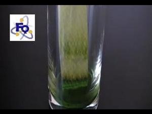 Experimentos de Química: Cromatografía de unas hojas de espinaca