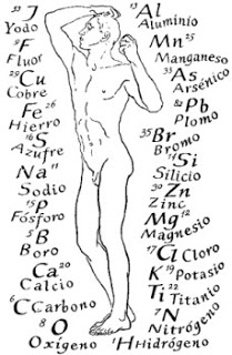 Composición química del cuerpo humano