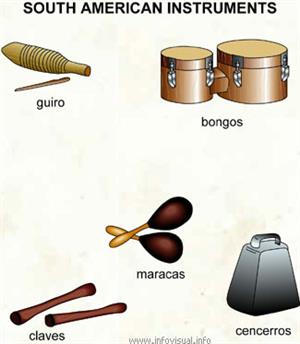 South american instruments  (Visual Dictionary)