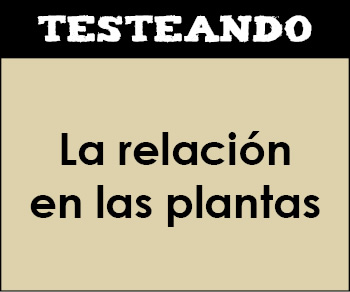 La relación en las plantas. 1º Bachillerato - Biología (Testeando)