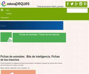 Fichas de Animales: Fichas de los insectos gratuitas y para descargar.