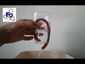 Experimentos de Física (fluidos y presión): El vaso de Tántalo