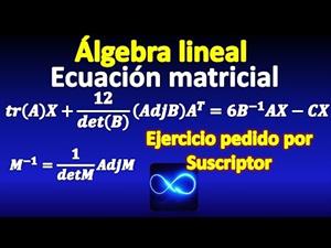 Ecuación matricial, con adjunta, inversas, determinante, traza, transpuesta