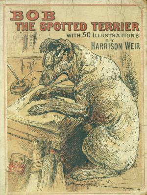 Memoirs of Bob the spotted terrier (International Children's Digital Library)