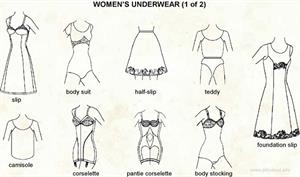 Women's sleepwear  (Visual Dictionary)