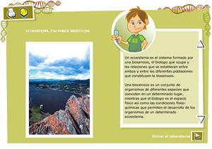 Ecosistema, factores abióticos. Biología y Geología 3º ciclo de Primaria