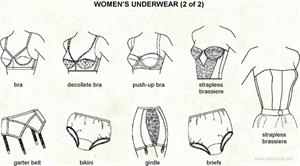 Women's underwear  (Visual Dictionary)