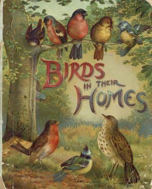 Birds in their homes (International Children's Digital Library)