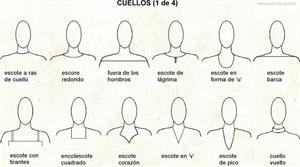 Cuellos (Diccionario visual)