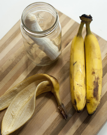 Do Bananas Give Birth to Maggots?