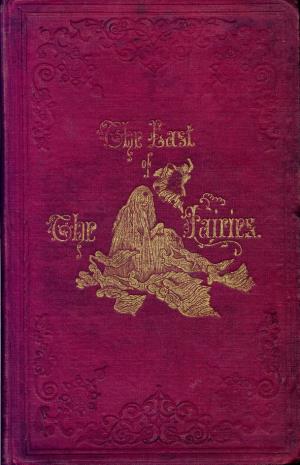 The last of the fairies (International Children's Digital Library)