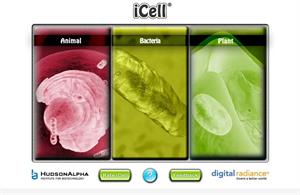 iCell: modelos 3D de distintos tipos de células